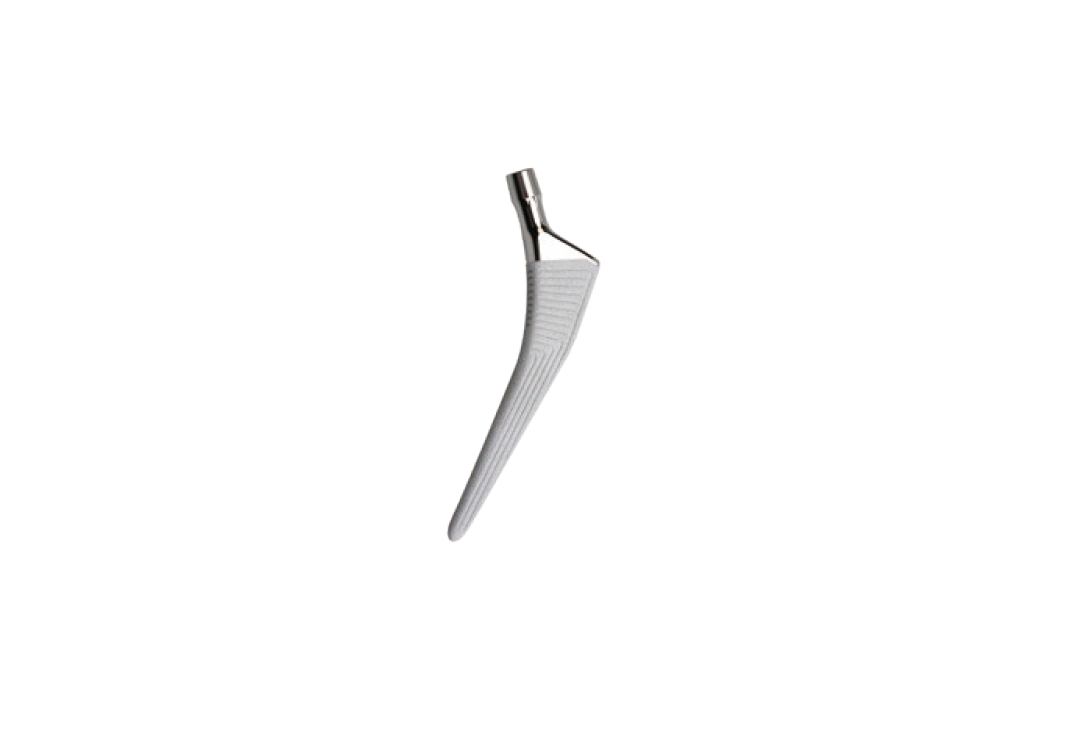 Ladge Femoral Stem (Cementless)