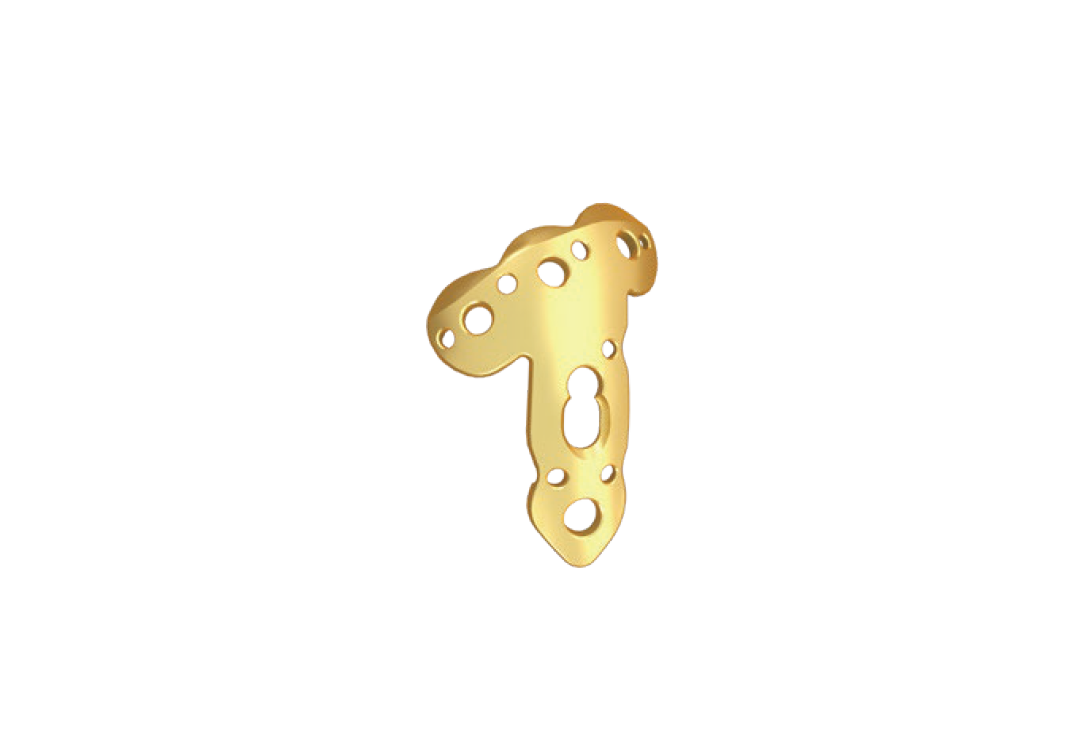 Humeral Greater Tubercle Locking Compression Plate - 2