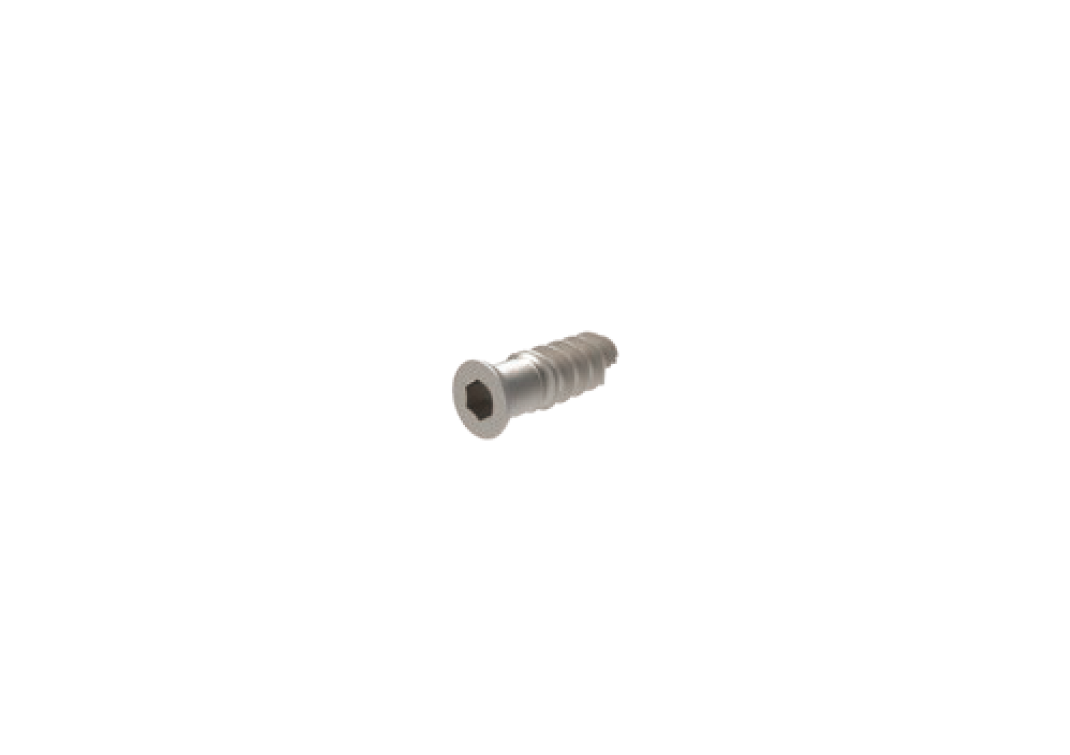 Acetabular Screw
