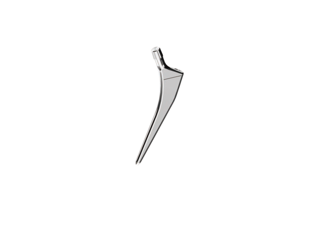 Ladge Femoral Stem (Cemented)
