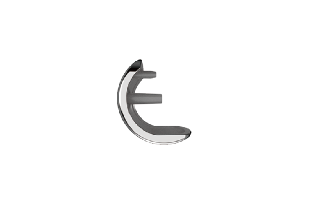 Femoral Component